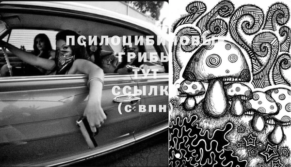 2c-b Каменск-Шахтинский