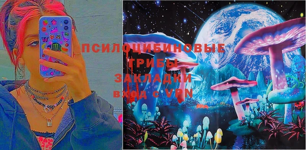 хмурый Верхний Тагил